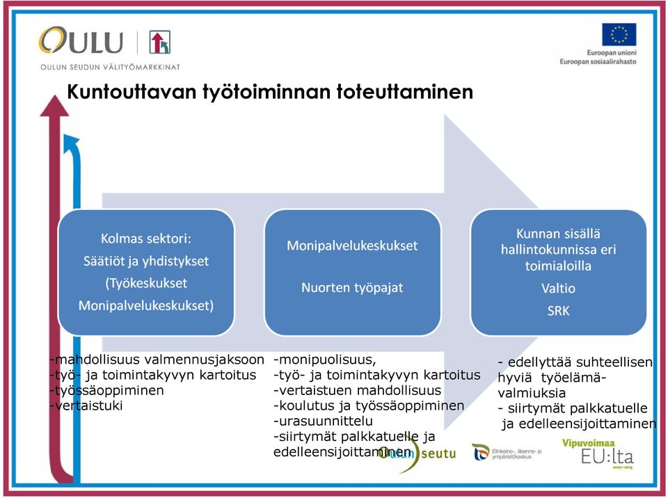 -vertaistuen mahdollisuus -koulutus ja työssäoppiminen -urasuunnittelu -siirtymät palkkatuelle ja