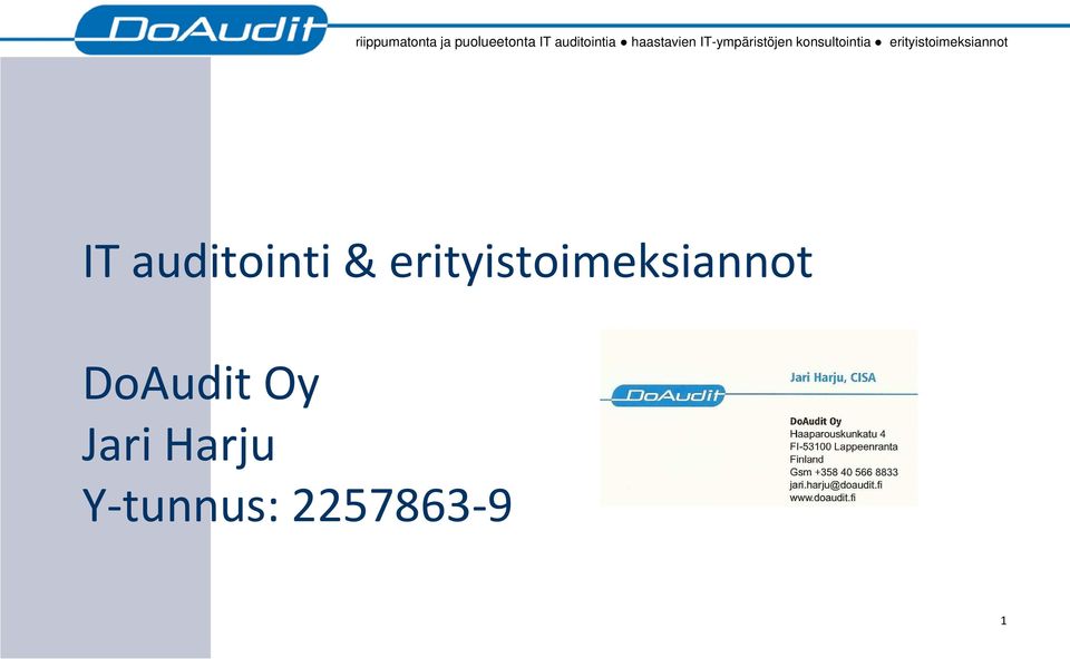 erityistoimeksiannot IT auditointi&