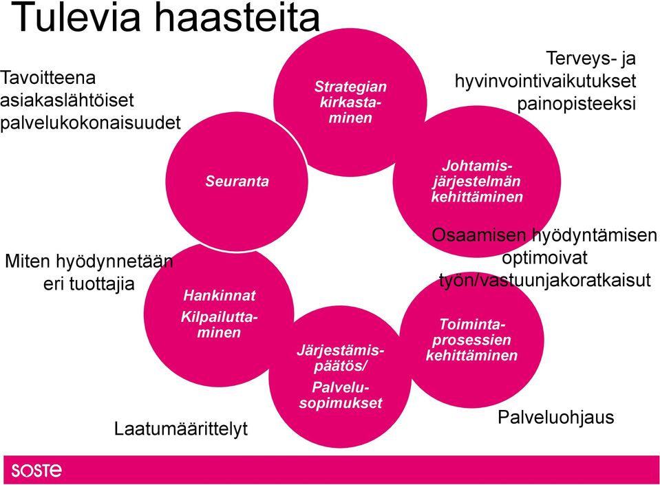 eri tuottajia Hankinnat Palvelusopimukset Kilpailuttaminen Laatumäärittelyt Strategian kirkastaminen