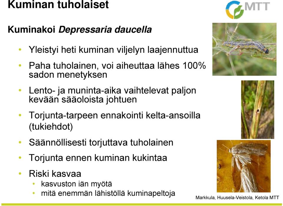 sääoloista johtuen Torjunta-tarpeen ennakointi kelta-ansoilla (tukiehdot) Säännöllisesti torjuttava