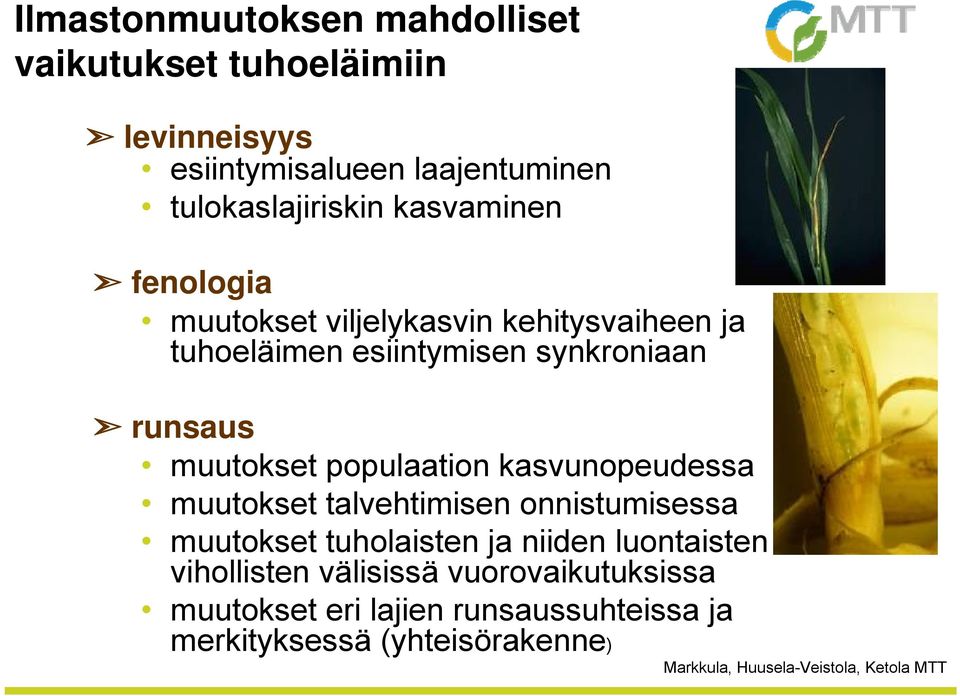 synkroniaan runsaus muutokset populaation kasvunopeudessa muutokset talvehtimisen onnistumisessa muutokset