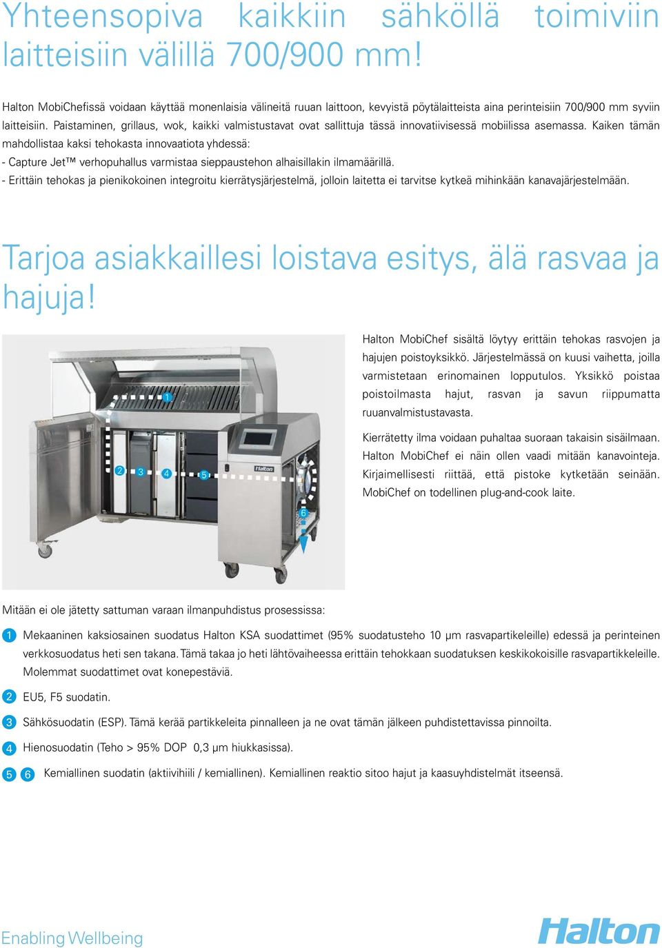 Paistaminen, grillaus, wok, kaikki valmistustavat ovat sallittuja tässä innovatiivisessä mobiilissa asemassa.