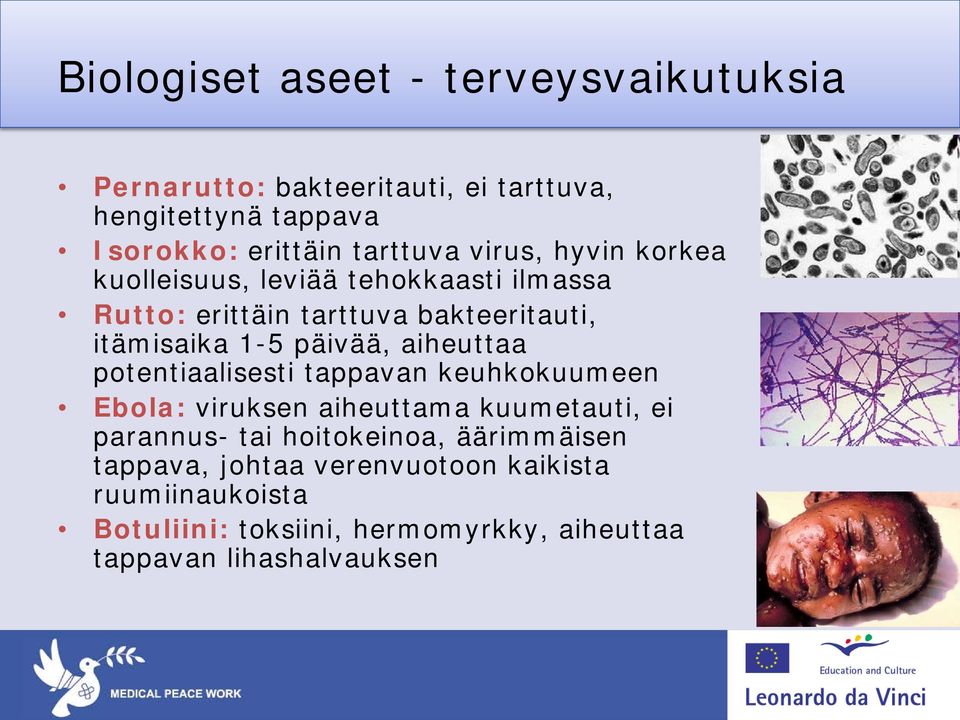 päivää, aiheuttaa potentiaalisesti tappavan keuhkokuumeen Ebola: viruksen aiheuttama kuumetauti, ei parannus- tai