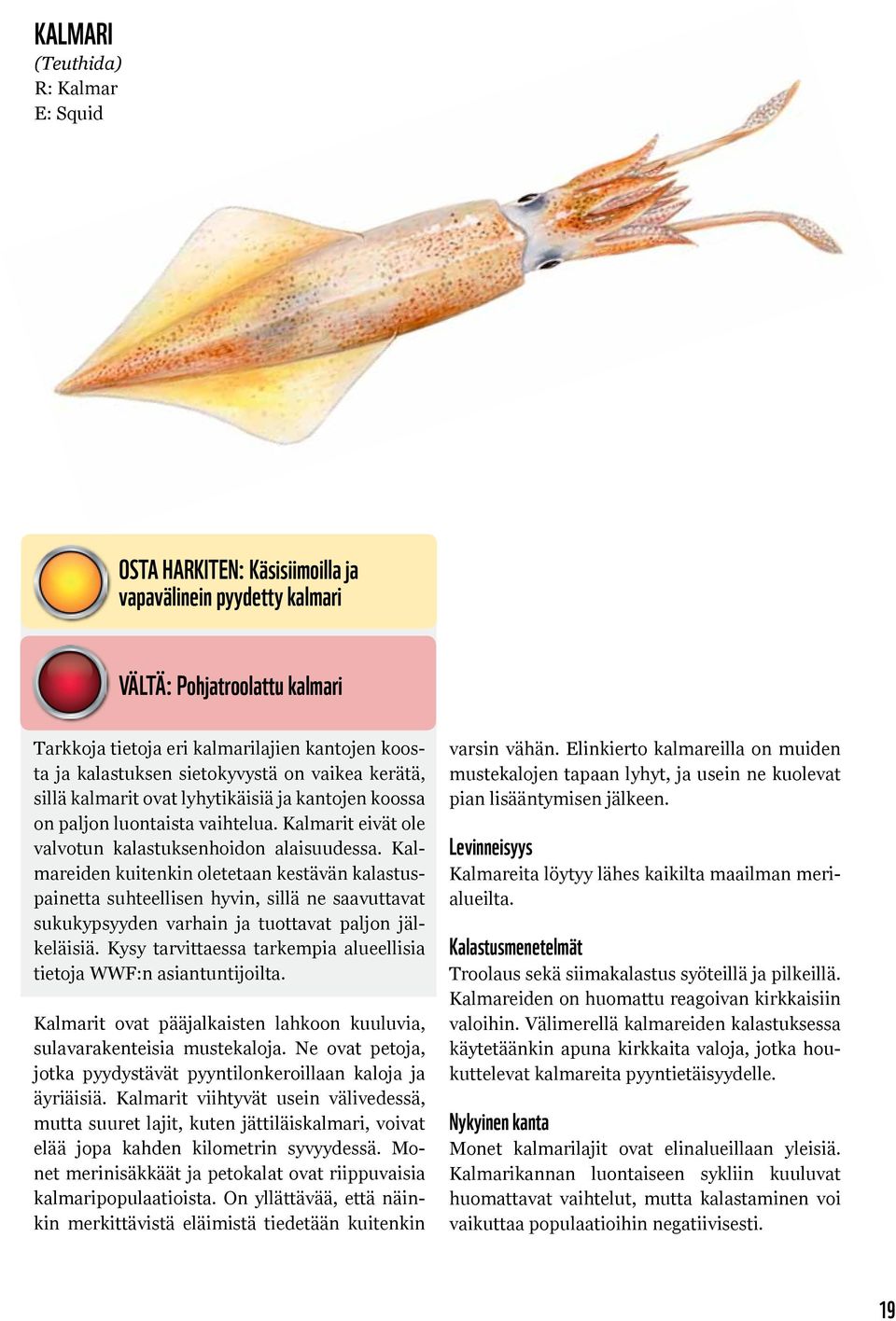 Kalmareiden kuitenkin oletetaan kestävän kalastuspainetta suhteellisen hyvin, sillä ne saavuttavat sukukypsyyden varhain ja tuottavat paljon jälkeläisiä.