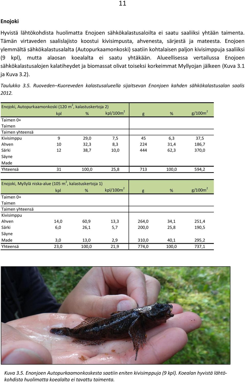 Alueellisessa vertailussa Enojoen sähkökalastusalojen kalatiheydet ja biomassat olivat toiseksi korkeimmat Myllyojan jälkeen (Kuva 3.1 ja Kuva 3.2). Taulukko 3.5.