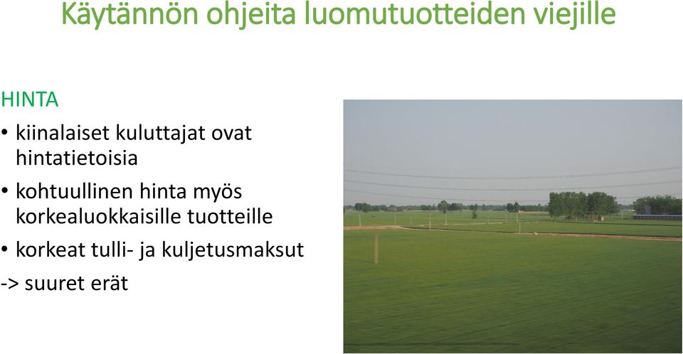 kohtuullinen hinta myös korkealuokkaisille