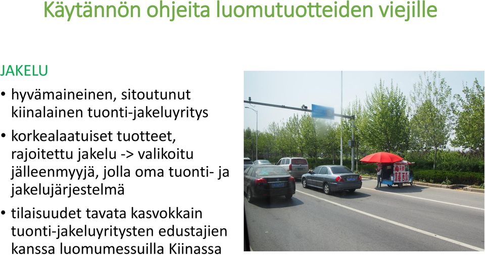 -> valikoitu jälleenmyyjä, jolla oma tuonti- ja jakelujärjestelmä tilaisuudet