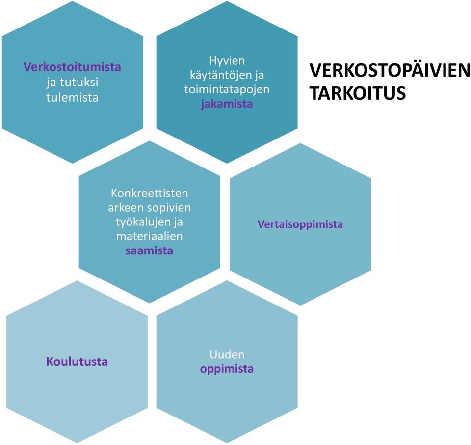 VERKOSTOPÄIVIEN TARKOITUS Konkreettisten arkeen