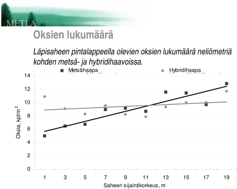 Metsähaapa Hybridihaapa Li (M t äh ) Li (H b idih ) 12 10