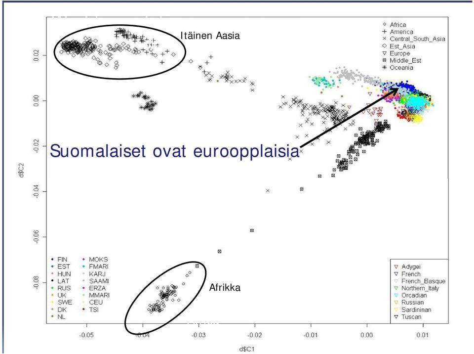 ovat euroopplaisia Europe Middle East Afrikka