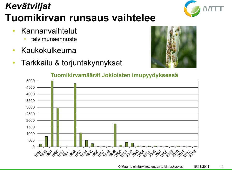 4500 4000 3500 3000 2500 2000 1500 1000 500 0 Tuomikirvamäärät