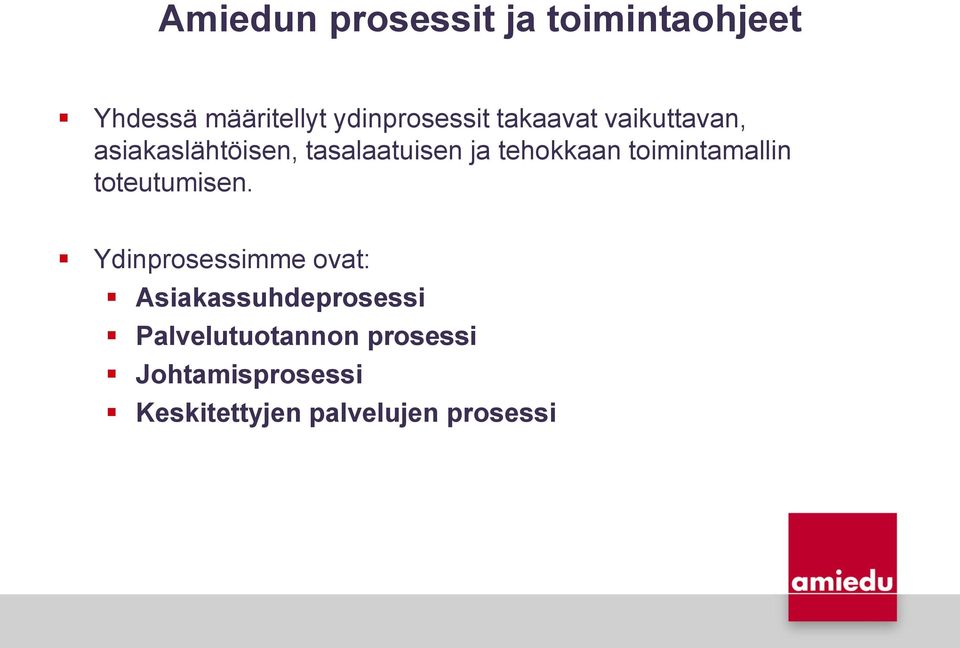 toimintamallin toteutumisen.