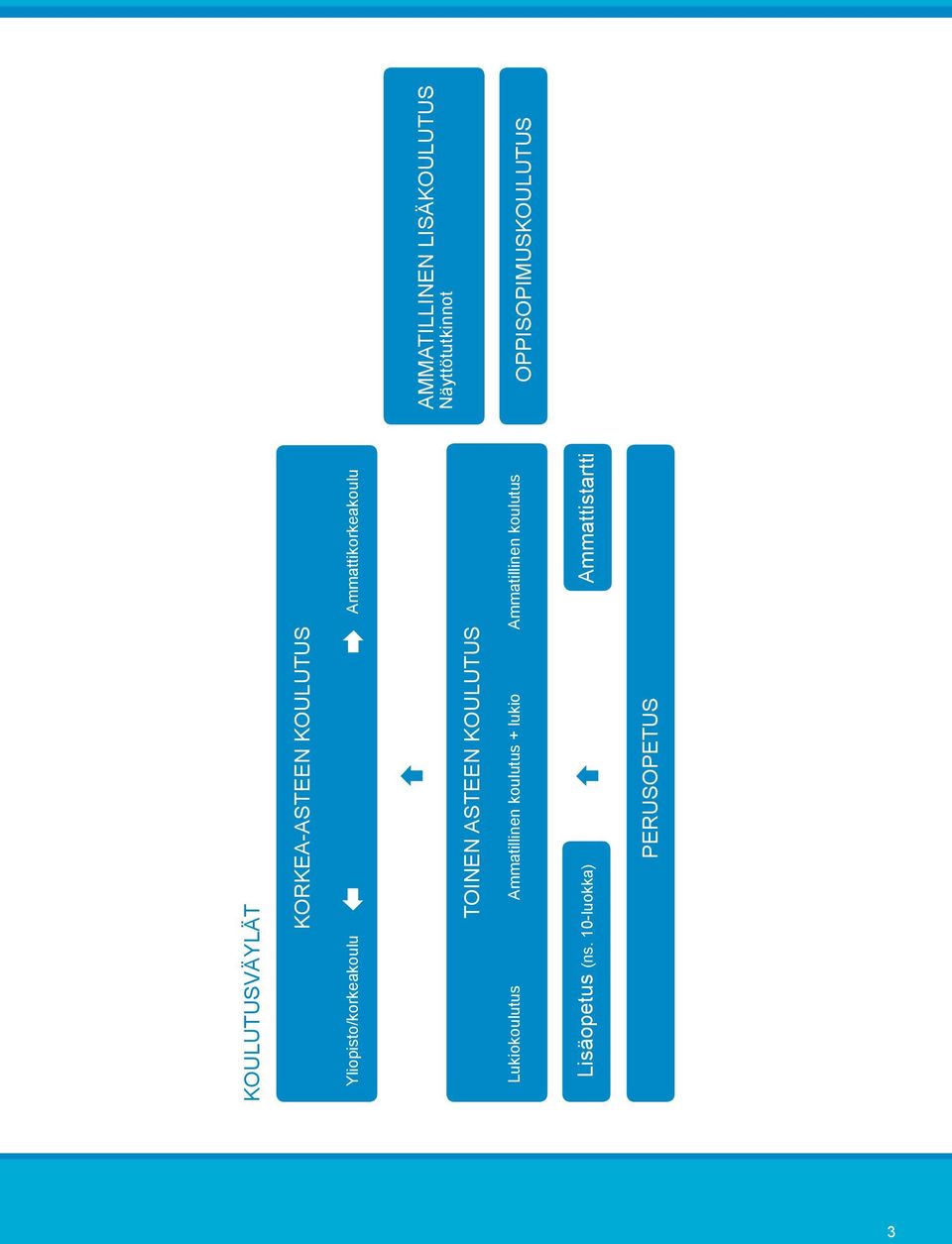 koulutus + lukio Ammatillinen koulutus Lisäopetus (ns.