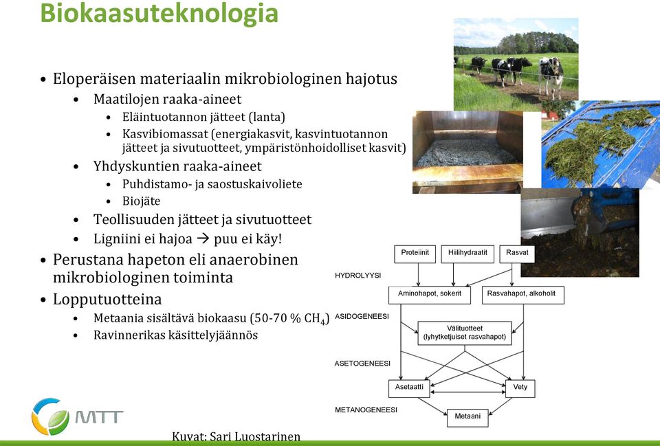 Perustana hapeton eli anaerobinen HYDROLYYSI mikrobiologinen toiminta Lopputuotteina Metaania sisältävä biokaasu (50-70 % CH 4 ) ASIDOGENEESI Ravinnerikas käsittelyjäännös