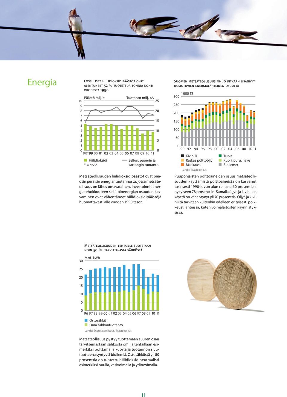 jossa metsäteollisuus on lähes omavarainen. Investoinnit energiatehokkuuteen sekä bioenergian osuuden kasvaminen ovat vähentäneet hiilidioksidipäästöjä huomattavasti alle vuoden 199 tason.