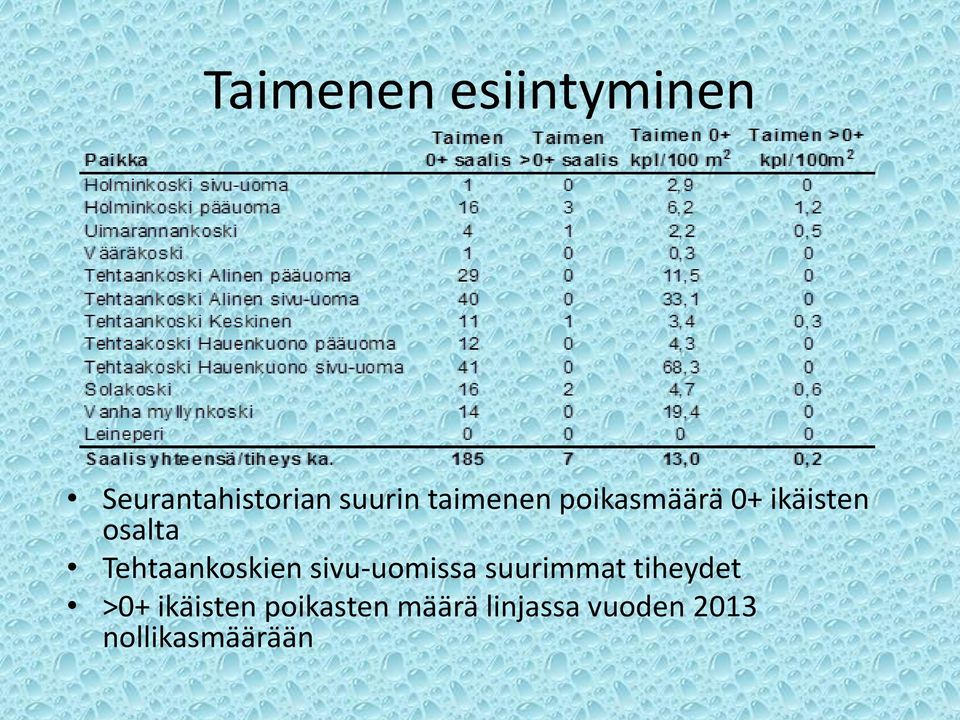 Tehtaankoskien sivu-uomissa suurimmat tiheydet