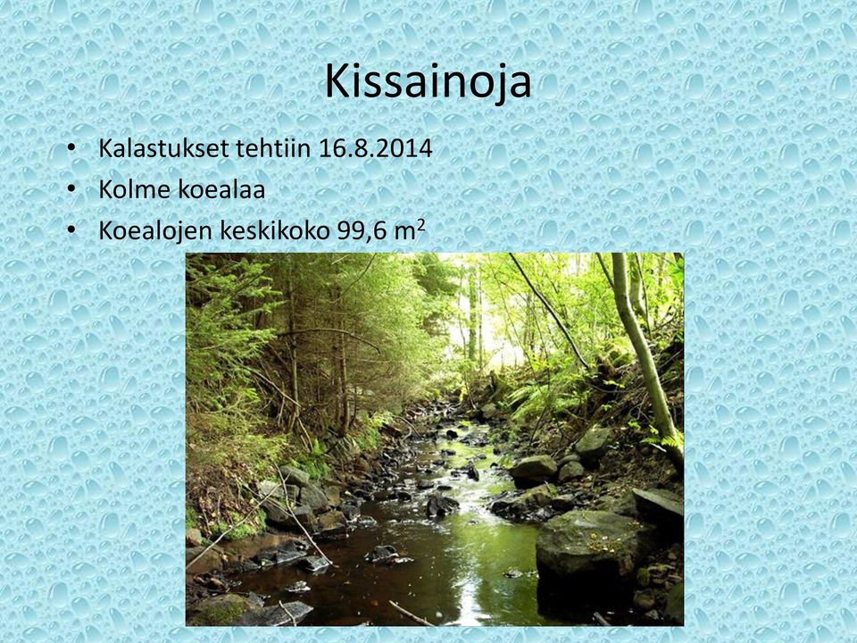 16.8.2014 Kolme