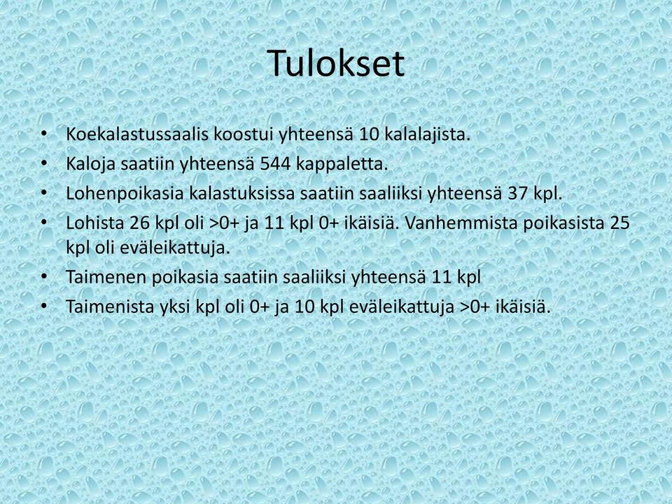 Lohenpoikasia kalastuksissa saatiin saaliiksi yhteensä 37 kpl.