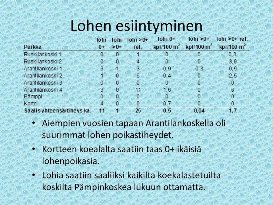 Kortteen koealalta saatiin taas 0+ ikäisiä lohenpoikasia.