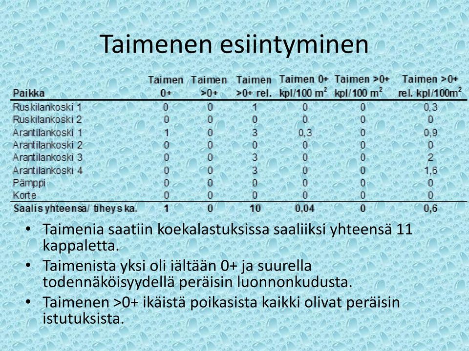 Taimenista yksi oli iältään 0+ ja suurella todennäköisyydellä