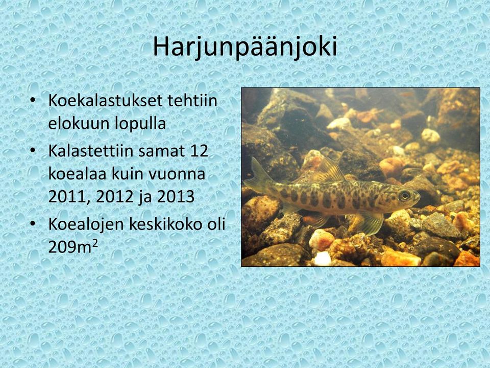samat 12 koealaa kuin vuonna 2011,