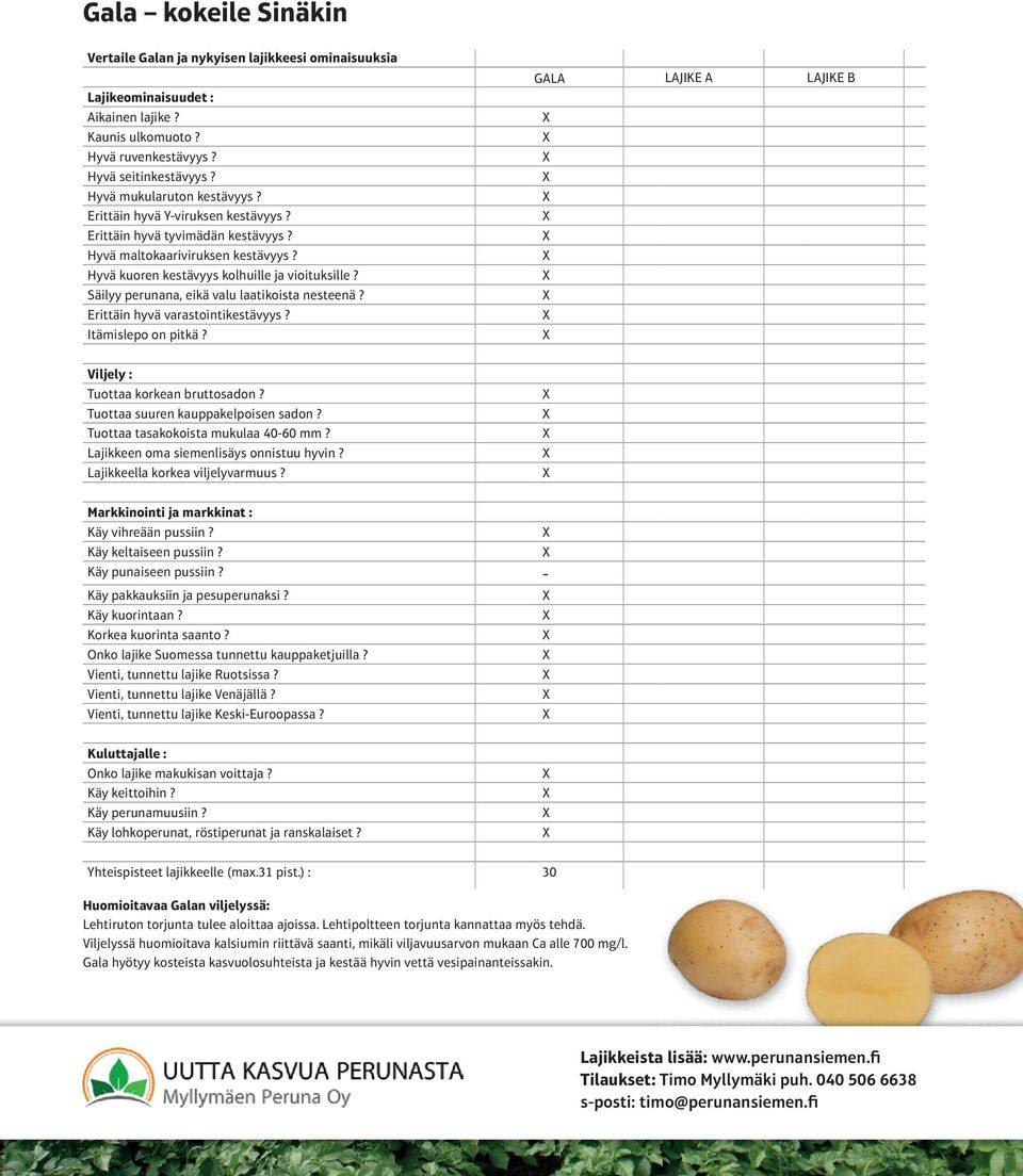 Säilyy perunana, eikä valu laatikoista nesteenä? Erittäin hyvä varastointikestävyys? Itämislepo on pitkä? GALA LAJIKE A LAJIKE B Viljely : Tuottaa korkean bruttosadon?