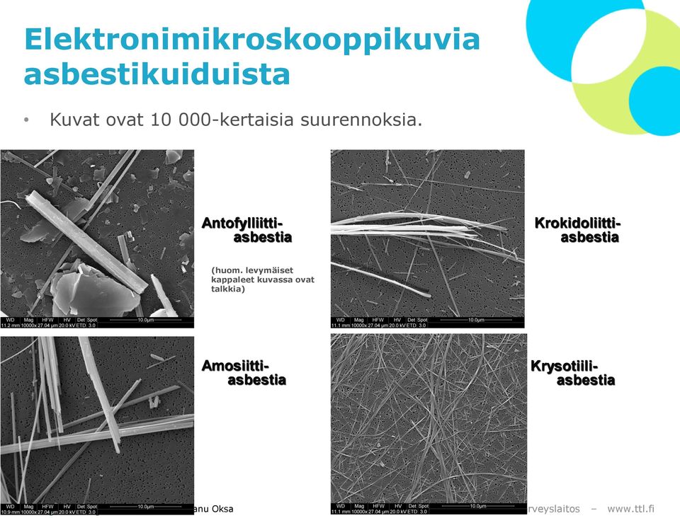 Krysotiiliasbestia Antofylliittiasbestia (huom.