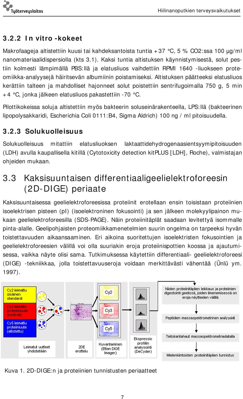 Altistuksen päätteeksi elatusliuos kerättiin talteen ja mahdolliset hajonneet solut poistettiin sentrifugoimalla 750 g, 5 min +4 C, jonka jälkeen elatusliuos pakastettiin -70 C.