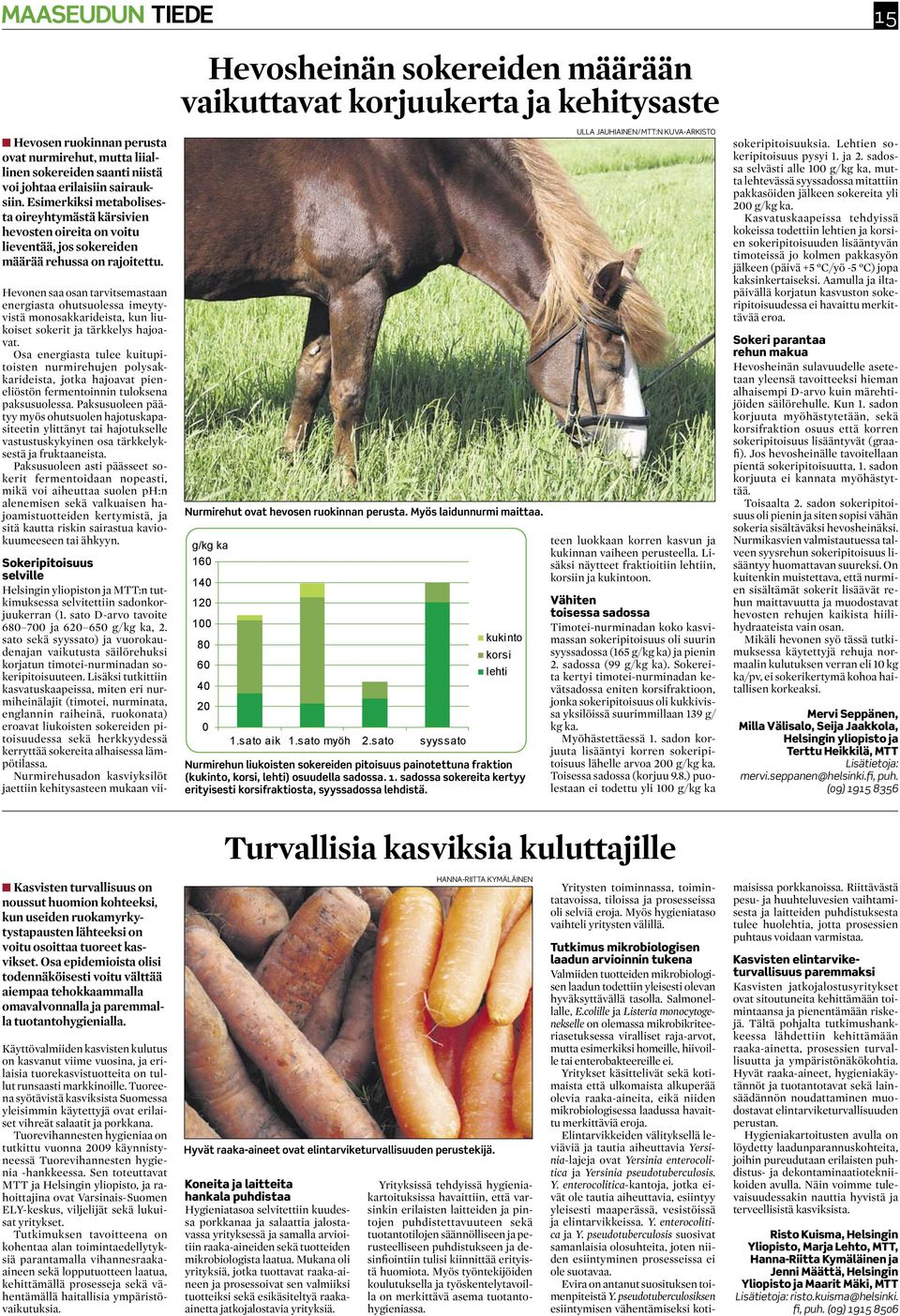 Hevonen saa osan tarvitsemastaan energiasta ohutsuolessa imeytyvistä monosakkarideista, kun liukoiset sokerit ja tärkkelys hajoavat.