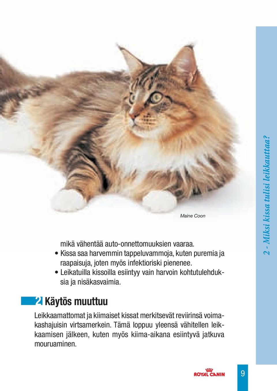 Leikatuilla kissoilla esiintyy vain harvoin kohtutulehduksia ja nisäkasvaimia. 2 - Miksi kissa tulisi leikkauttaa?