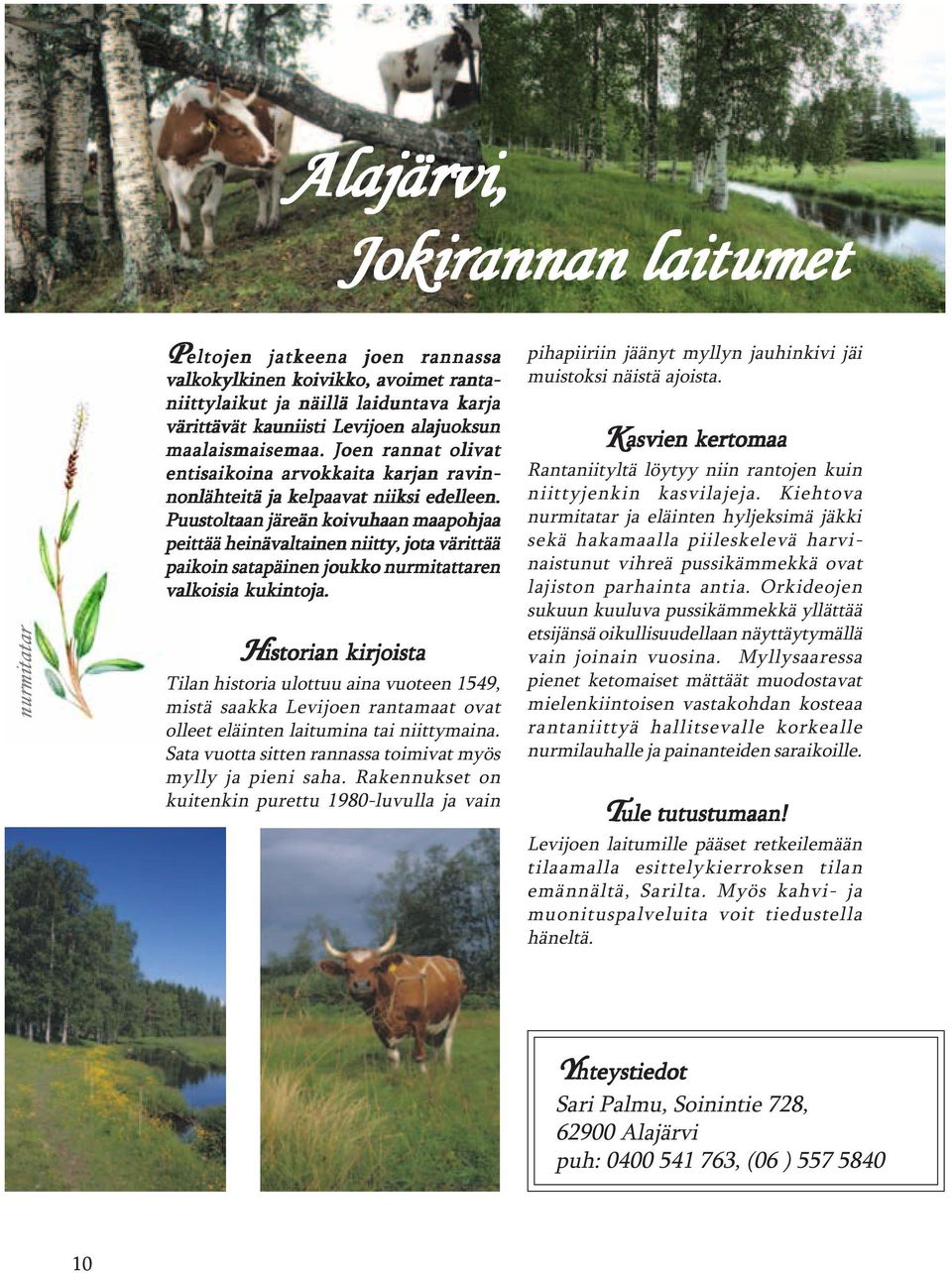 Puustoltaan järeän koivuhaan maapohjaa peittää heinävaltainen niitty, jota värittää paikoin satapäinen joukko nurmitattaren valkoisia kukintoja.