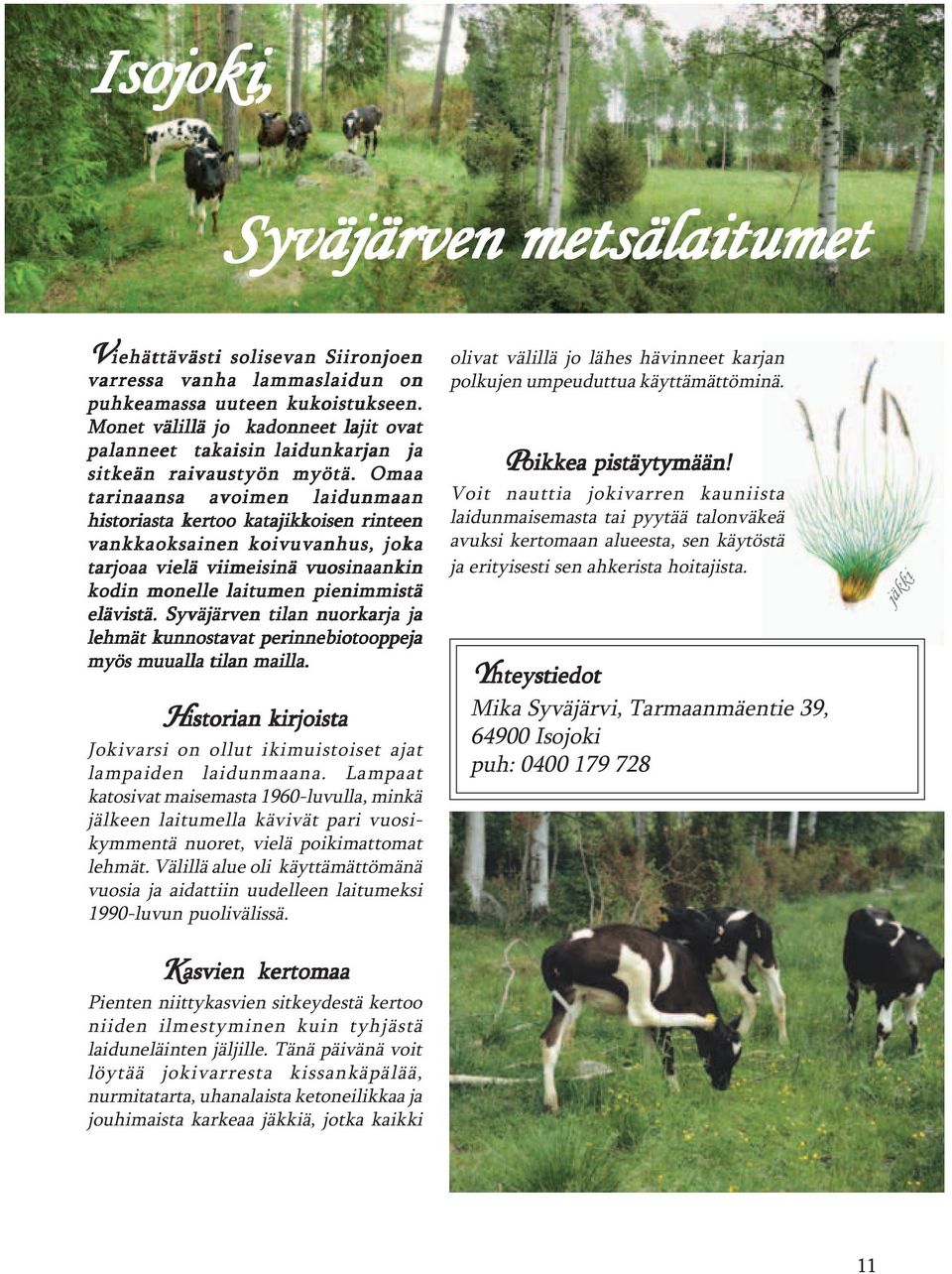 Omaa tarinaansa avoimen laidunmaan historiasta kertoo katajikkoisen rinteen vankkaoksainen koivuvanhus, joka tarjoaa vielä viimeisinä vuosinaankin kodin monelle laitumen pienimmistä elävistä.