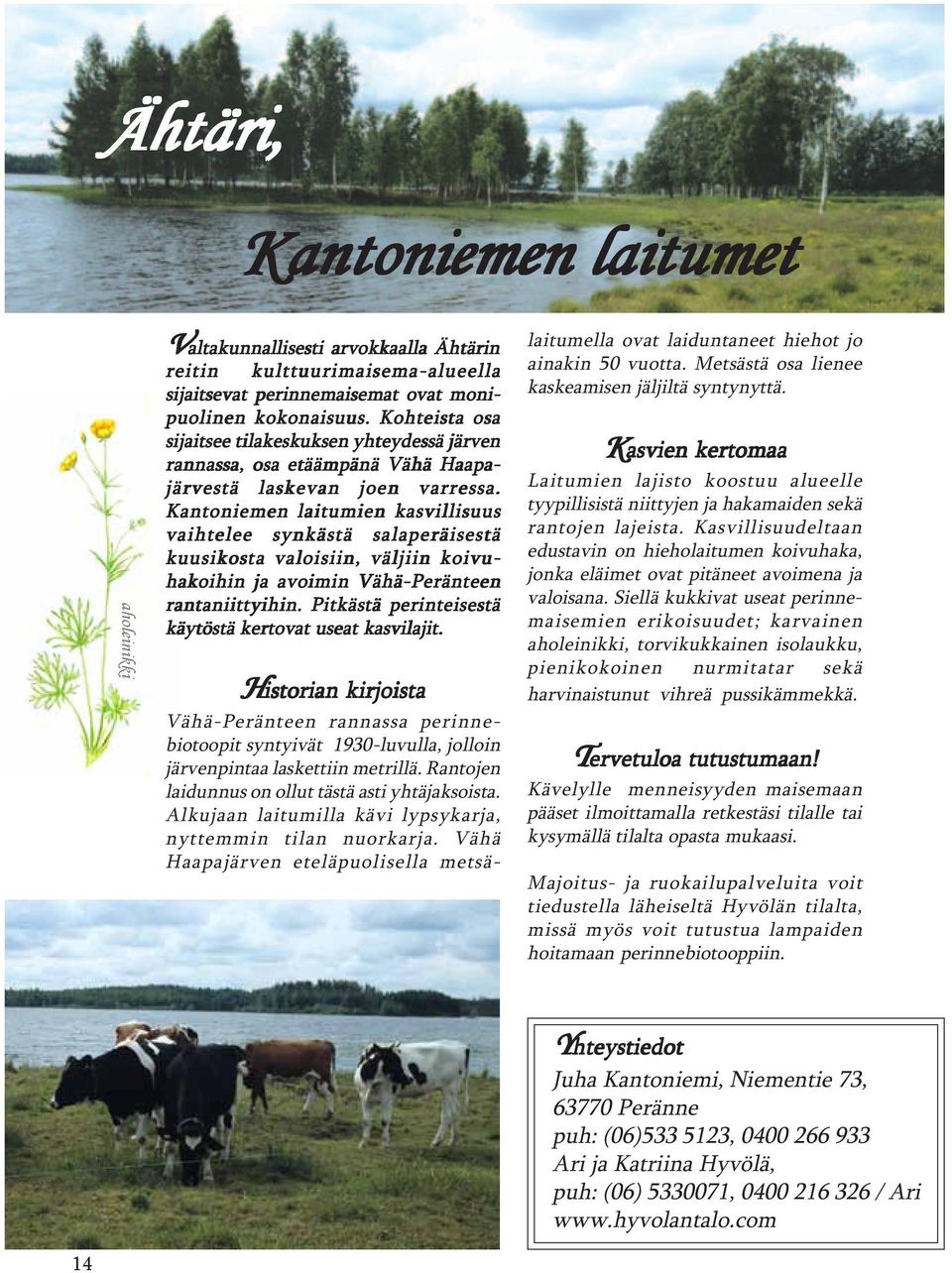 Kantoniemen laitumien kasvillisuus vaihtelee synkästä salaperäisestä kuusikosta valoisiin, väljiin koivu- hakoihin ja avoimin Vähä-Peränteen rantaniittyihin.