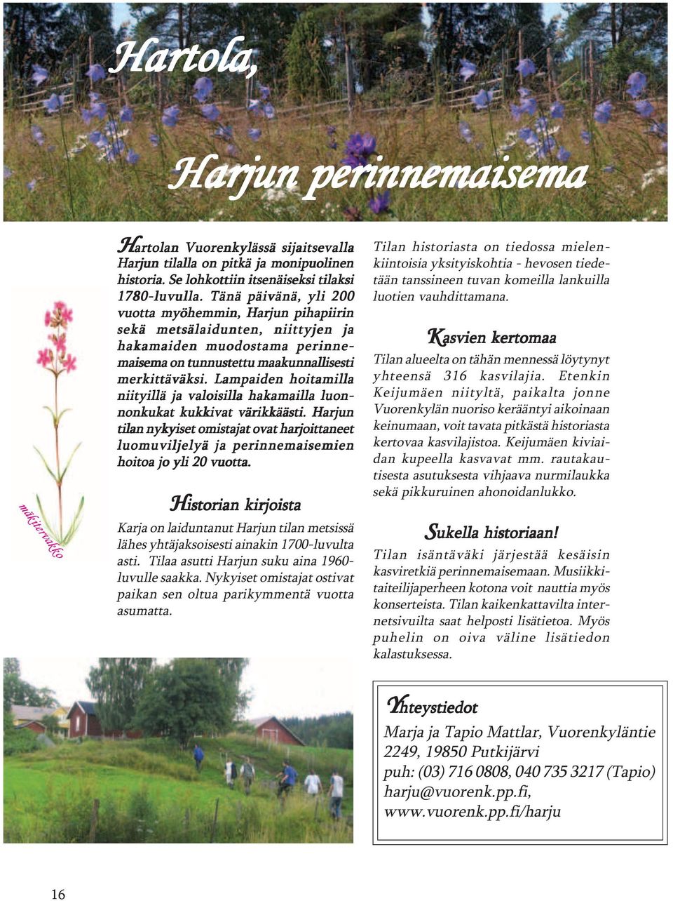 Lampaiden hoitamilla niityillä ja valoisilla hakamailla luon- nonkukat kukkivat värikkäästi.