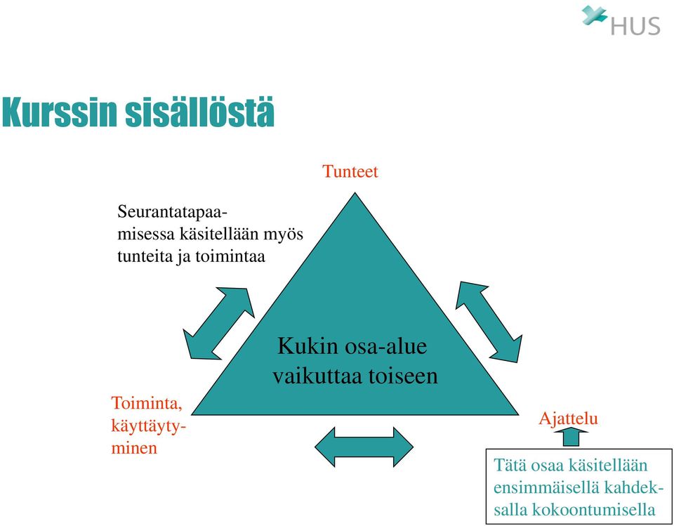 käyttäytyminen Kukin osa-alue vaikuttaa toiseen