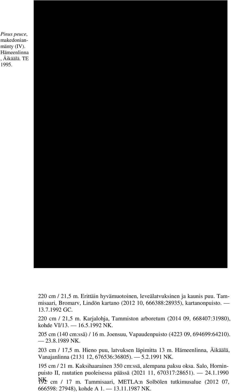 205 cm (140 cm:ssä) / 16 m. Joensuu, Vapaudenpuisto (4223 09, 694699:64210). 23.8.1989 NK. 203 cm / 17,5 m. Hieno puu, latvuksen läpimitta 13 m.
