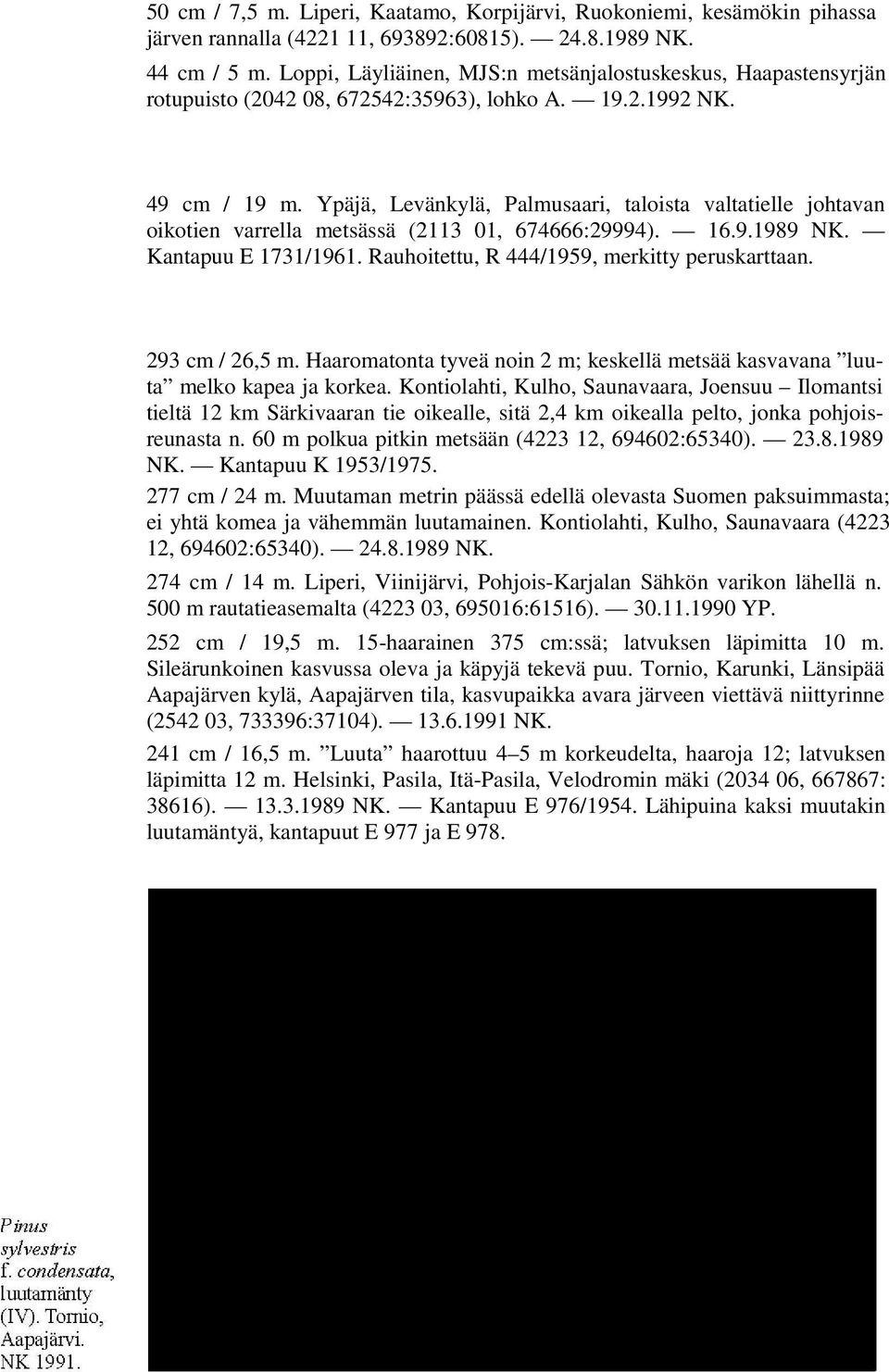 Ypäjä, Levänkylä, Palmusaari, taloista valtatielle johtavan oikotien varrella metsässä (2113 01, 674666:29994). 16.9.1989 NK. Kantapuu E 1731/1961. Rauhoitettu, R 444/1959, merkitty peruskarttaan.