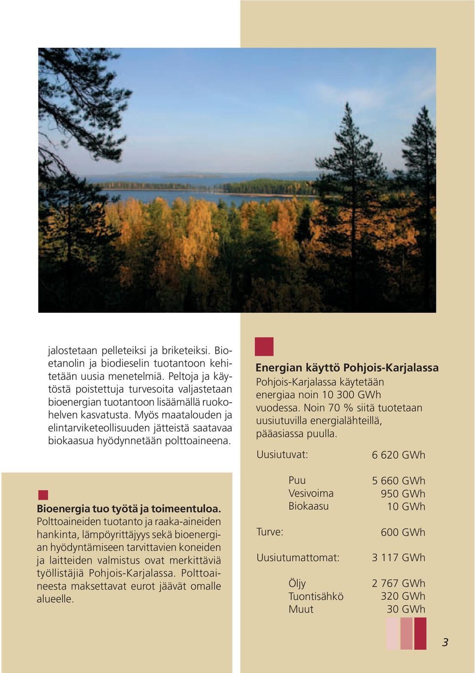 Myös maatalouden ja elintarviketeollisuuden jätteistä saatavaa biokaasua hyödynnetään polttoaineena. Energian käyttö Pohjois-Karjalassa Pohjois-Karjalassa käytetään energiaa noin 10 300 GWh vuodessa.