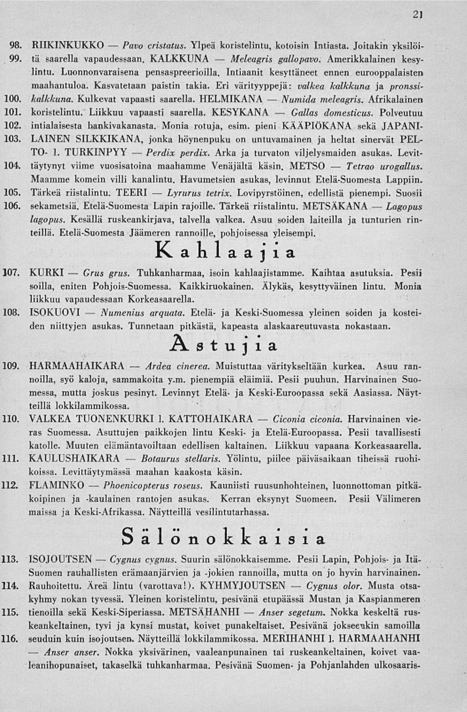 Kasvatetaan paistin takia. Eri värityyppejä: valkea kalkkuna ja pronssi- 100. kalkkuna. Kulkevat vapaasti saarella. HELMIKANA meleagris. Afrikalainen 101. koristelintu. Liikkuu vapaasti saarella.