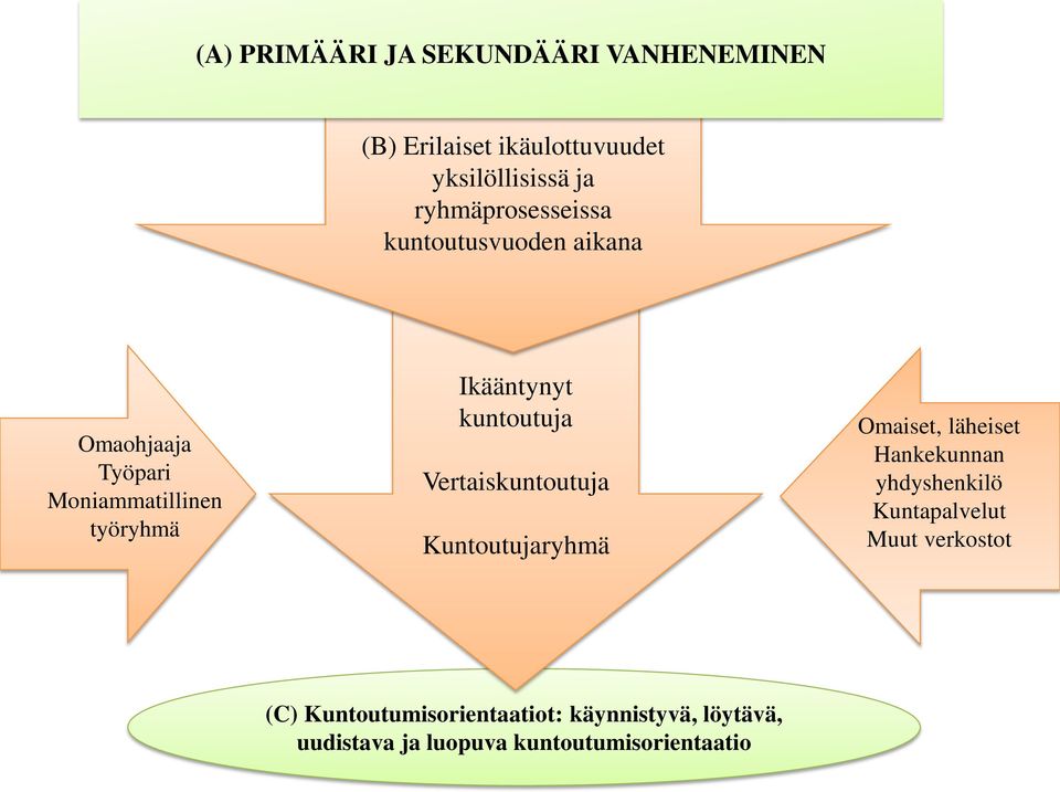 kuntoutuja Vertaiskuntoutuja Kuntoutujaryhmä Omaiset, läheiset Hankekunnan yhdyshenkilö