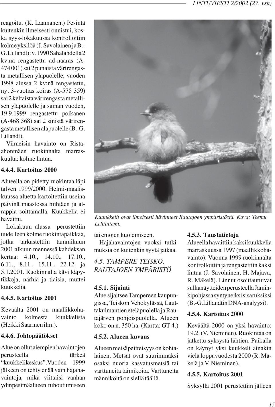 keltaista värirengasta metallisen yläpuolelle ja saman vuoden, 19.9.1999 rengastettu poikanen (A-468 368) sai 2 sinistä värirengasta metallisen alapuolelle (B.-G. Lillandt).