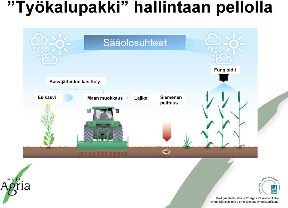 käsittely Fungisidit Esikasvi