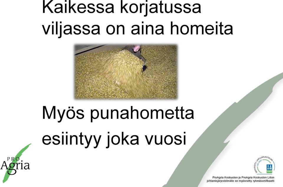 homeita Myös