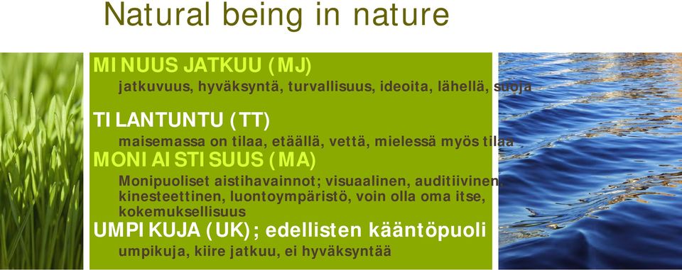 Monipuoliset aistihavainnot; visuaalinen, auditiivinen, kinesteettinen, luontoympäristö, voin olla