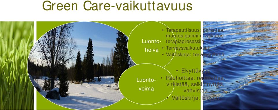 Väitöskirja: terveysryhmä Luontovoima Elvyttävyys Rauhoittaa,