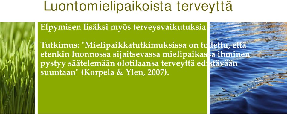 Tutkimus: "Mielipaikkatutkimuksissa on todettu, että etenkin