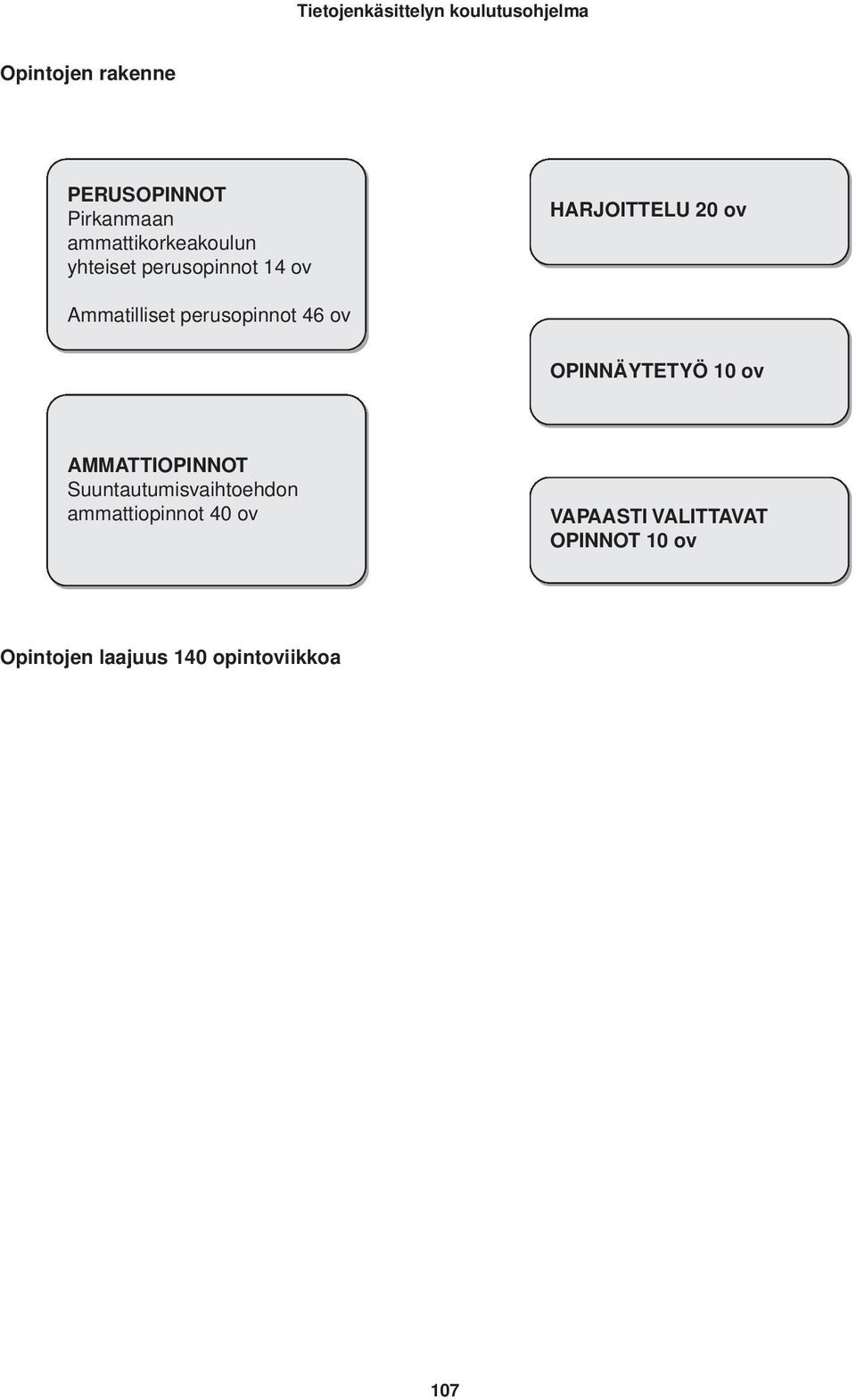 OPINNÄYTETYÖ 10 ov AMMATTIOPINNOT Suuntautumisvaihtoehdon ammattiopinnot