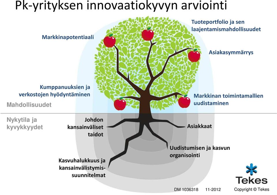 Markkinan toimintamallien uudistaminen Nykytila ja kyvykkyydet Johdon kansainväliset taidot