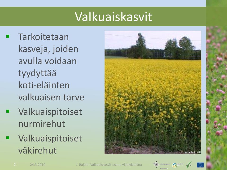 Valkuaispitoiset nurmirehut Valkuaispitoiset väkirehut