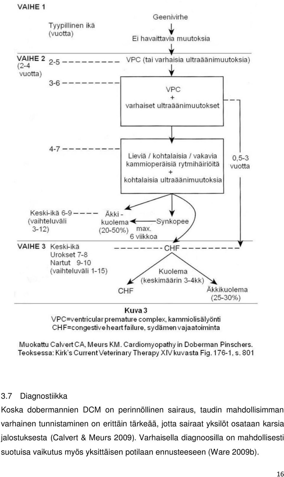 yksilöt osataan karsia jalostuksesta (Calvert & Meurs 2009).